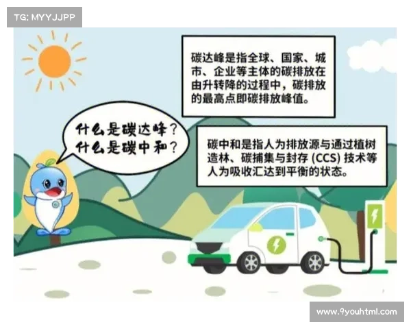 德甲可持续发展报告发布，碳中和球场建设目标提前完成